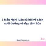 3 Mẫu Nghị luận xã hội về cách nuôi dưỡng vẻ đẹp tâm hồn