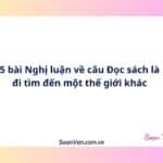 5 bài Nghị luận về câu Đọc sách là đi tìm đến một thế giới khác