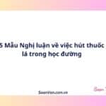 5 Mẫu Nghị luận về việc hút thuốc lá trong học đường
