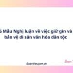 6 Mẫu Nghị luận về việc giữ gìn và bảo vệ di sản văn hóa dân tộc