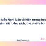 8 Mẫu Nghị luận về hiện tượng học sinh rất ít đọc sách, thờ ơ với sách