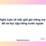 Nghị luận về việc giữ gìn tiếng mẹ đẻ và học tập tiếng nước ngoài