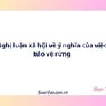 Nghị luận xã hội về ý nghĩa của việc bảo vệ rừng