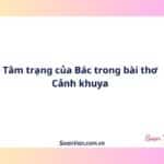 Tâm trạng của Bác trong bài thơ Cảnh khuya
