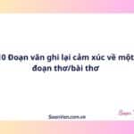 10 Đoạn văn ghi lại cảm xúc về một đoạn thơ/bài thơ
