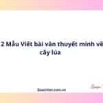 12 Mẫu Viết bài văn thuyết minh về cây lúa