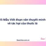 15 Mẫu Viết đoạn văn thuyết minh về tác hại của thuốc lá