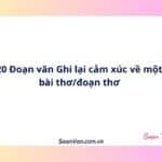 20 Đoạn văn Ghi lại cảm xúc về một bài thơ/đoạn thơ