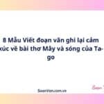 8 Mẫu Viết đoạn văn ghi lại cảm xúc về bài thơ Mây và sóng của Ta-go