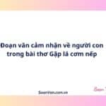Đoạn văn cảm nhận về người con trong bài thơ Gặp lá cơm nếp