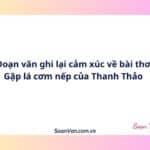Đoạn văn ghi lại cảm xúc về bài thơ Gặp lá cơm nếp của Thanh Thảo