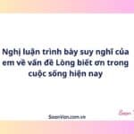 Nghị luận trình bày suy nghĩ của em về vấn đề Lòng biết ơn trong cuộc sống hiện nay