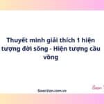 Thuyết minh giải thích 1 hiện tượng đời sống - Hiện tượng cầu vồng