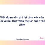 Viết đoạn văn ghi lại cảm xúc của em về bài thơ “Nếu mẹ là” của Trần Liêm
