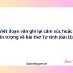 Viết đoạn văn ghi lại cảm xúc hoặc ấn tượng về bài thơ Tự tình (bài II)