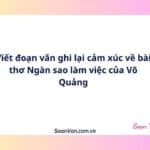 Viết đoạn văn ghi lại cảm xúc về bài thơ Ngàn sao làm việc của Võ Quảng