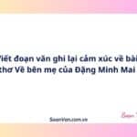 Viết đoạn văn ghi lại cảm xúc về bài thơ Về bên mẹ của Đặng Minh Mai