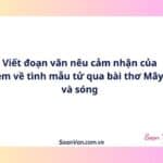 Viết đoạn văn nêu cảm nhận của em về tình mẫu tử qua bài thơ Mây và sóng