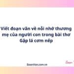 Viết đoạn văn về nỗi nhớ thương mẹ của người con trong bài thơ Gặp lá cơm nếp