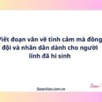 Viết đoạn văn về tình cảm mà đồng đội và nhân dân dành cho người lính đã hi sinh
